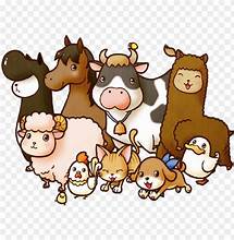 Animals